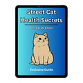 Gesundheitsgeheimnisse für Straßenkatzen
