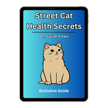 Gesundheitsgeheimnisse für Straßenkatzen