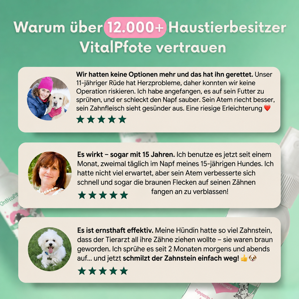 vitalpfote