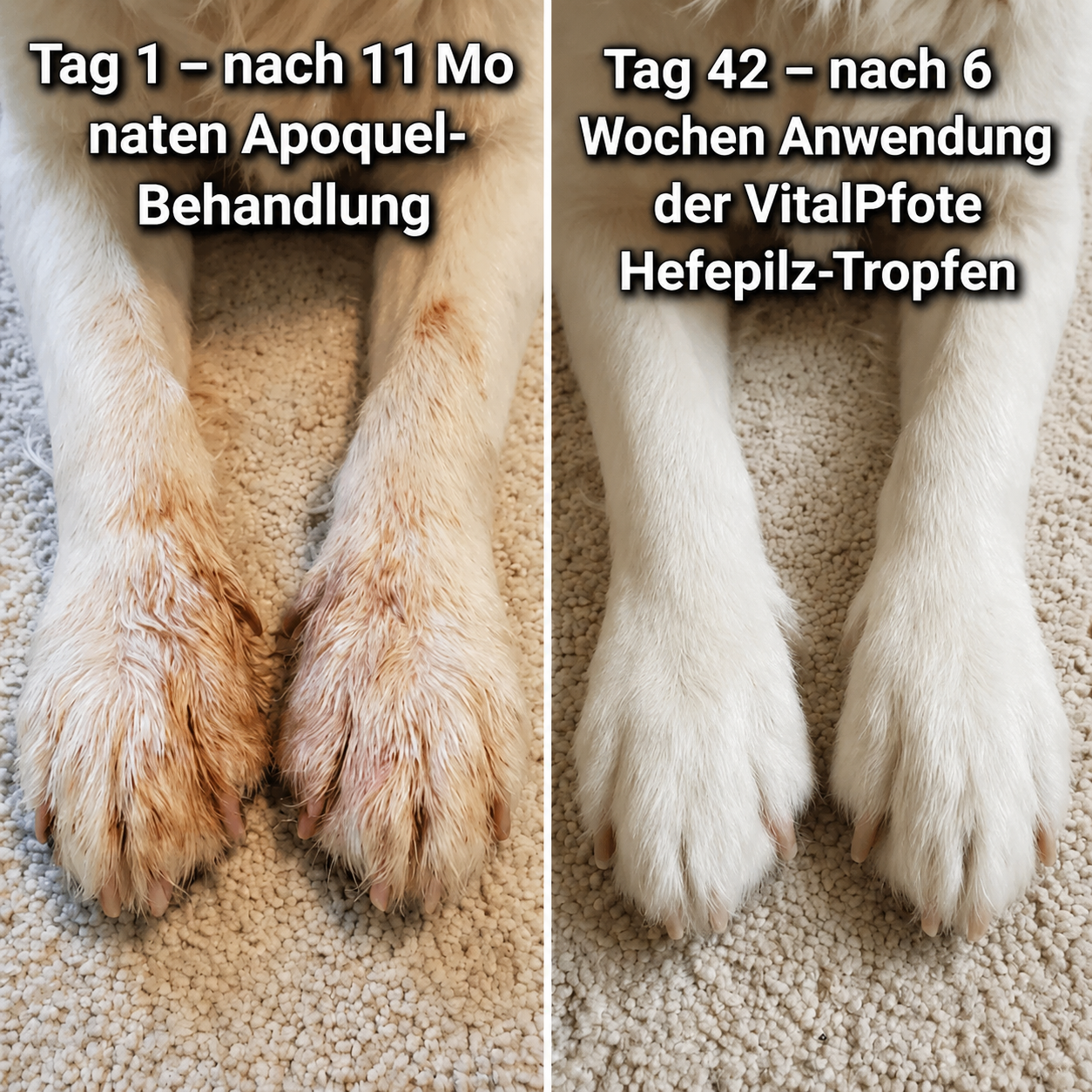 Hefepilz-Tropfen™