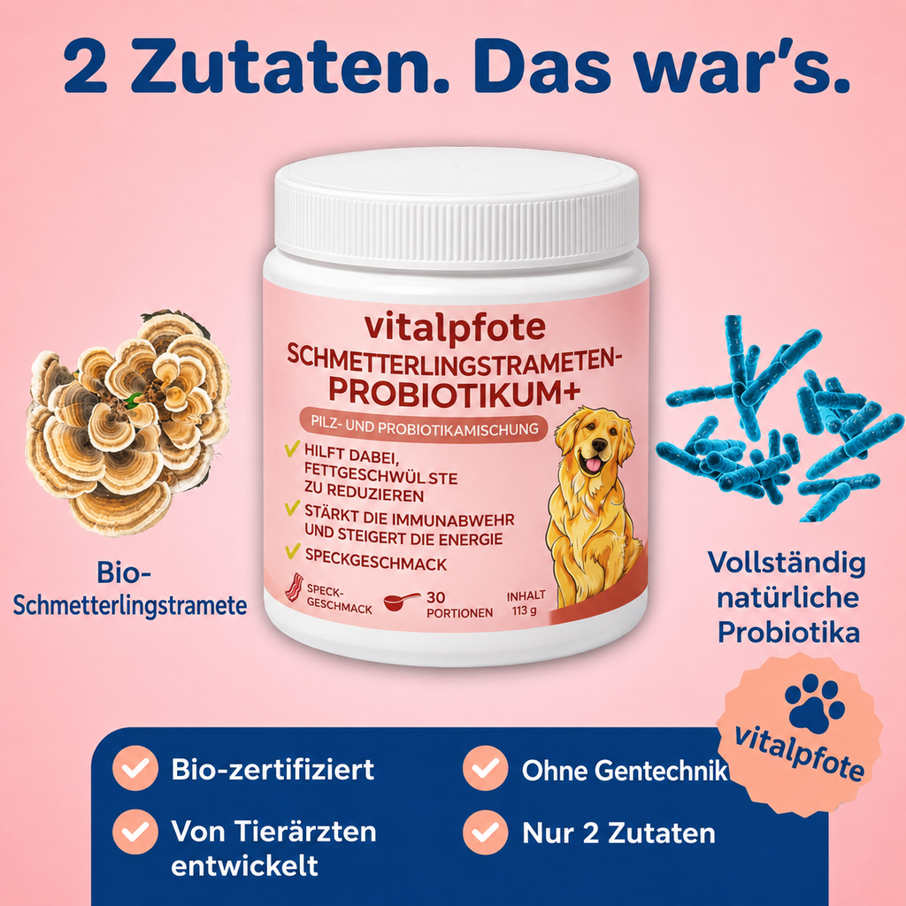Turkey-Tail-Probiotic™