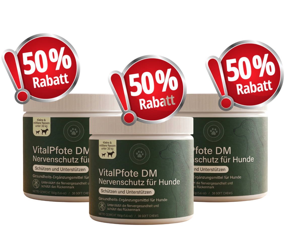 3-Dosen VitalPfote MD