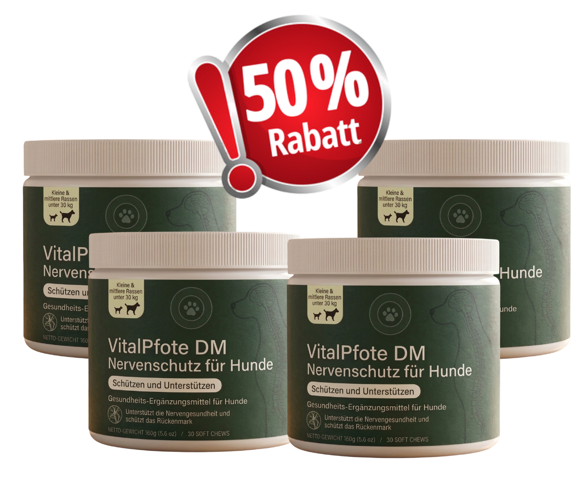 4-Dosen VitalPfote MD