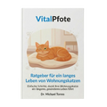 Leitfaden für ein langes Leben von Wohnungskatzen