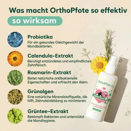 orthopfote-dentaclean (clone this)