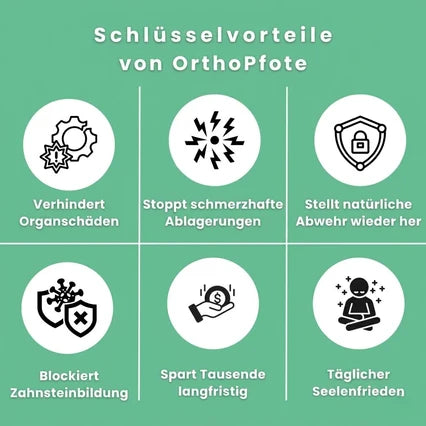 orthopfote-dentaclean (clone this)