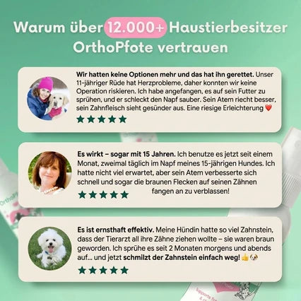 orthopfote-dentaclean (clone this)