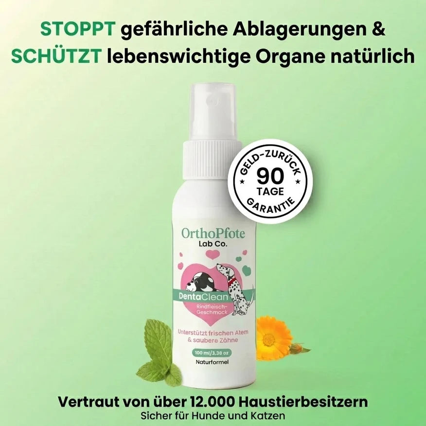 orthopfote-dentaclean (clone this)