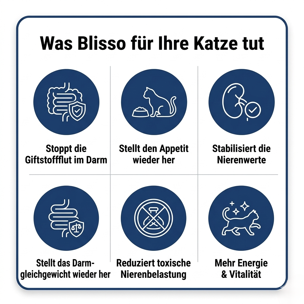 Blisso Advanced Probiotika für Katzen