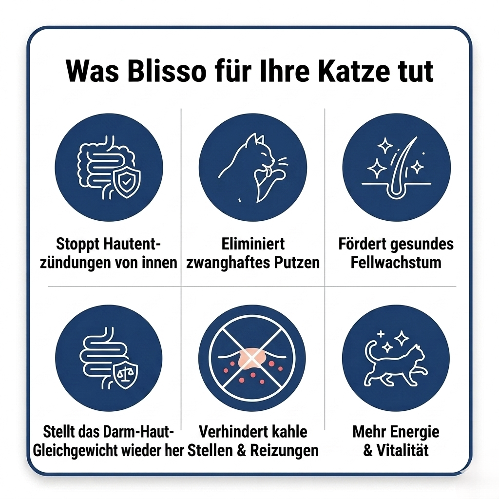 Blisso Advanced Probiotika für Katzen.
